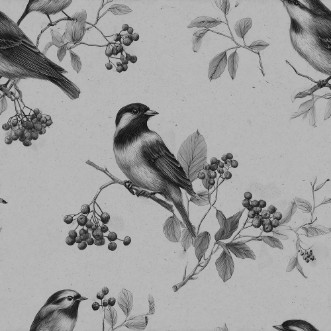 Bild på Clive Grey - 1115601-04