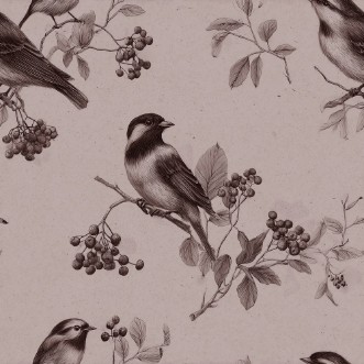 Bild på Clive Pink - 1115601-05