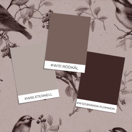 Bild på Färgsättning Clive Pink - 1115601-05 - 10973-01