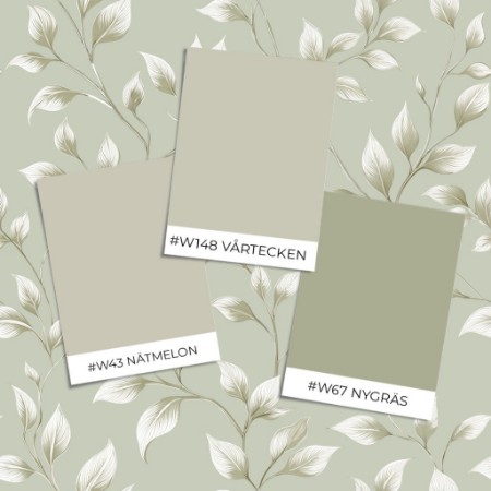 Bild på Färgsättning Joakim light Green - 1081901-04 - 11020-01