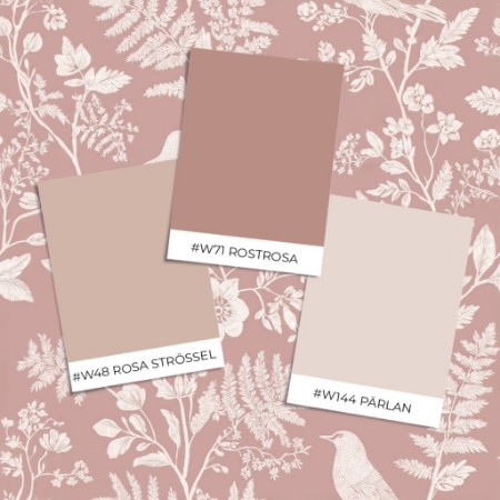 Pilt Näidisstiil - Mirja Pink - 1116501-05