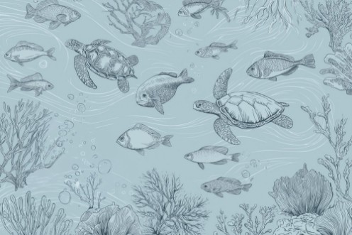 Picture of Sealife I