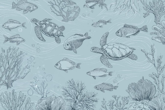 Picture of Sealife I