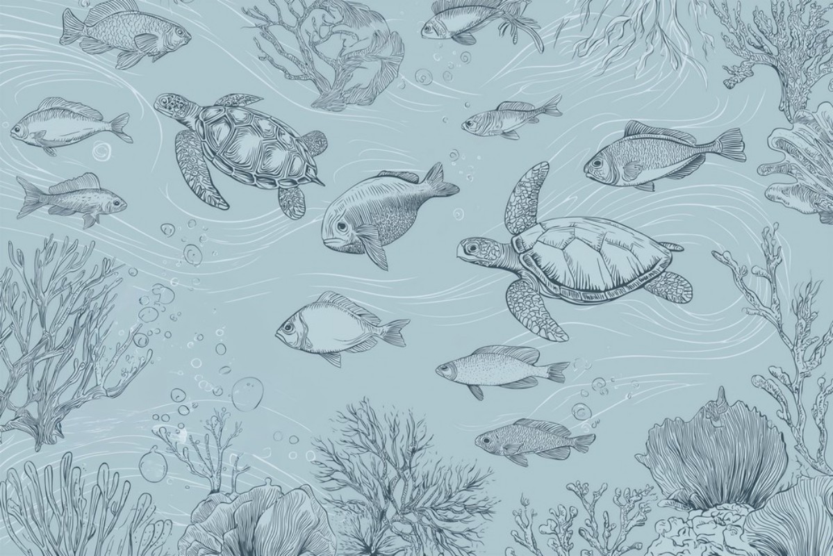 Bild på Sealife I