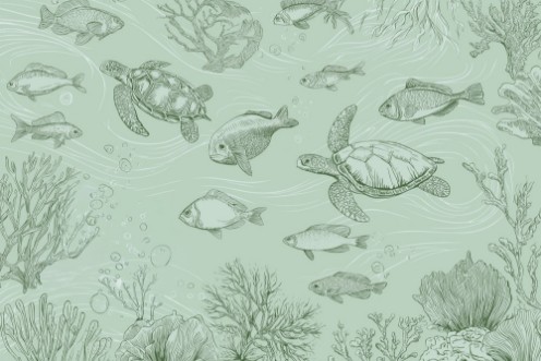 Picture of Sealife II