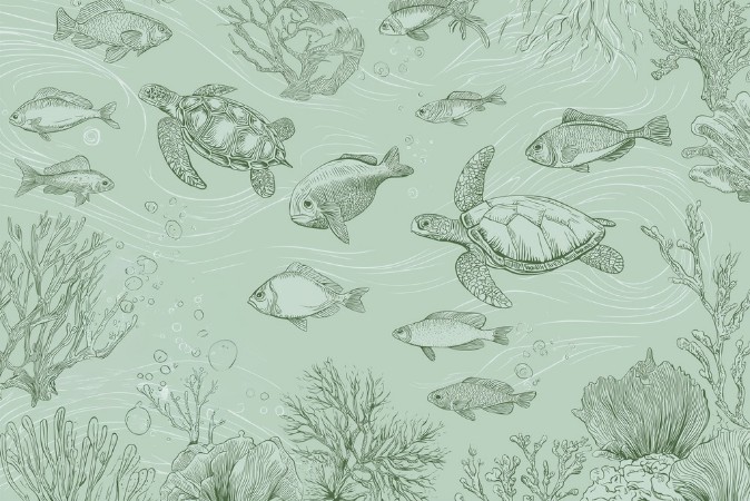 Picture of Sealife II