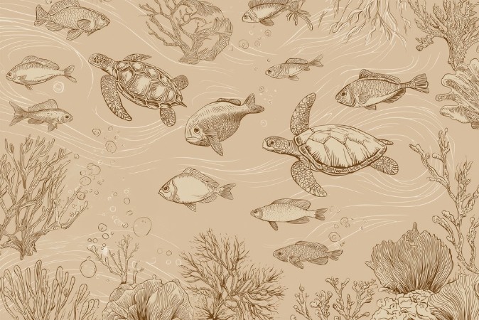 Picture of Sealife III