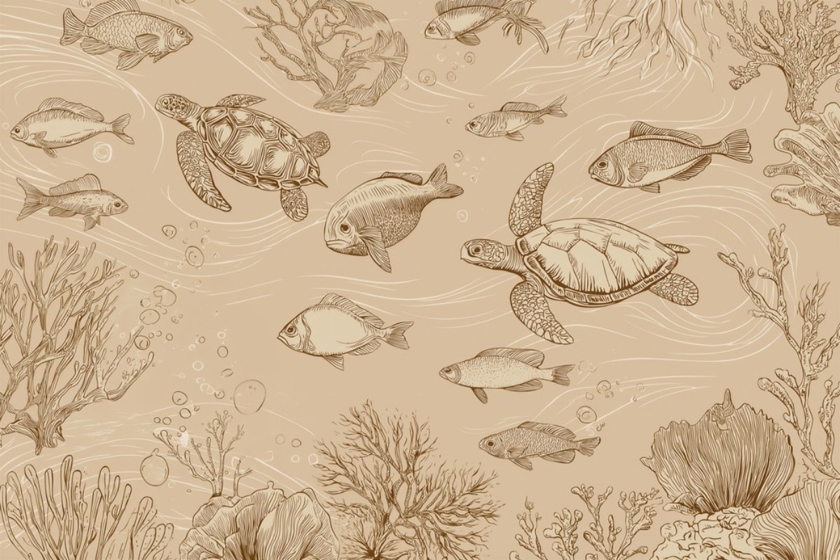 Bild på Sealife III