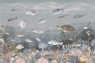 Picture of Aqua Dream II