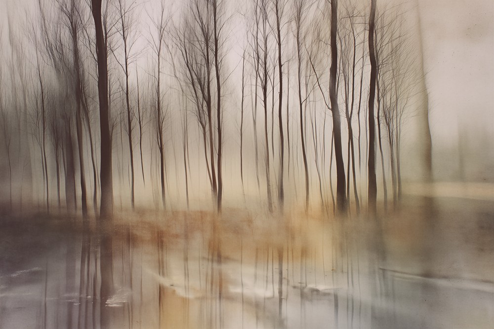 Picture of Dream Silence I