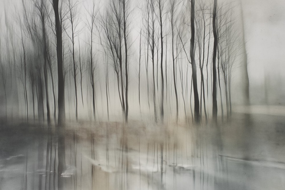 Picture of Dream Silence II