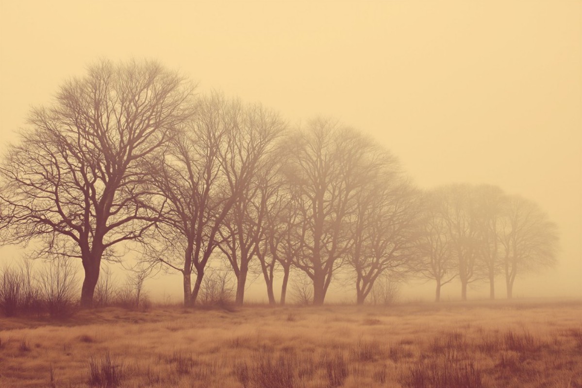 Picture of Väriyhdistelmä Soft Fog I - 11173-01