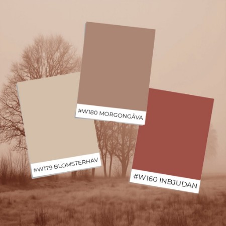 Ritratt ta’ Stil ta' eżempju - Soft Fog II