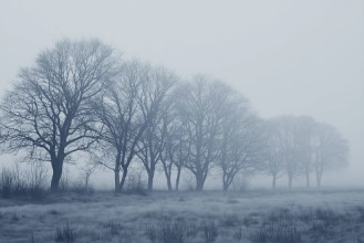 Bild på Soft Fog III