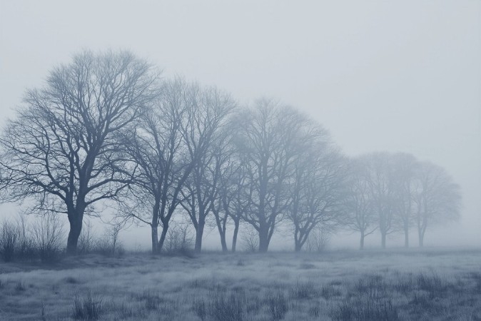 Bild på Färgsättning Soft Fog III - 11175-01