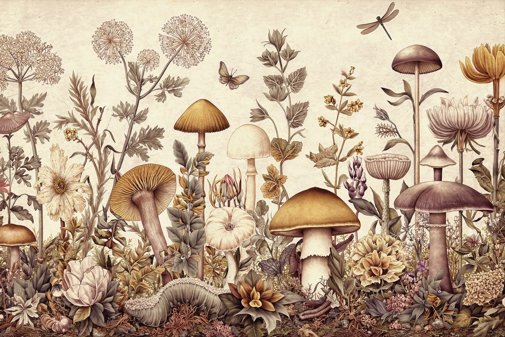 Afbeeldingen van Vintage Fungi II