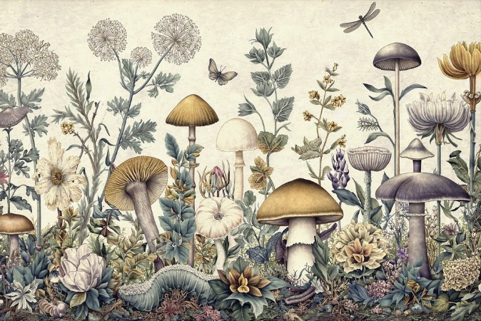 Picture of Vintage Fungi III