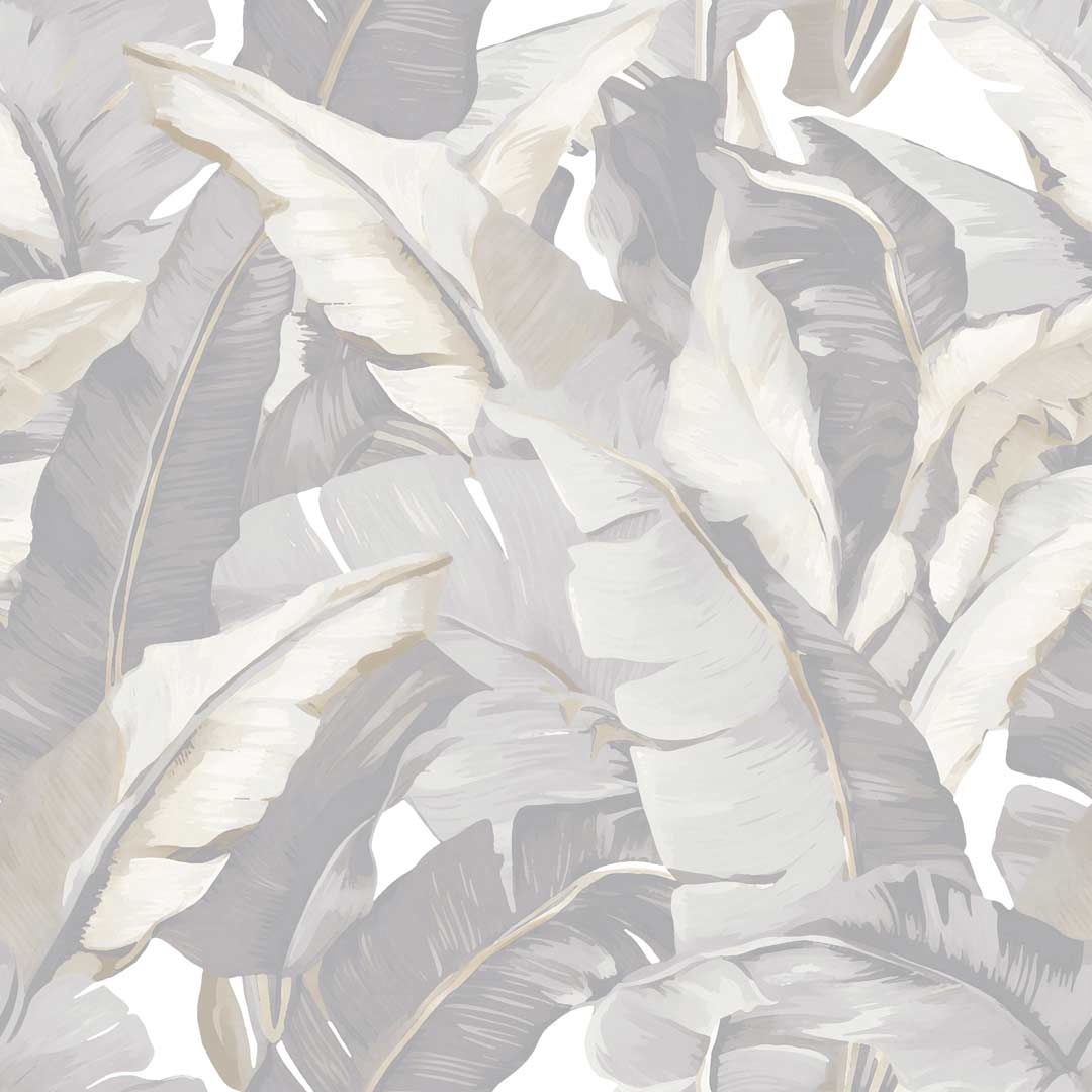 Encanto - 2005 wallpaper 