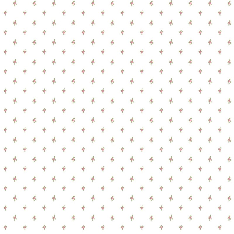 Primula - 8368 wallpaper Parato