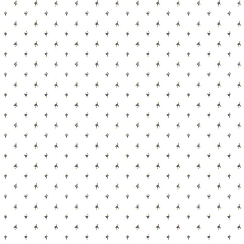 Primula - 8369 wallpaper Parato
