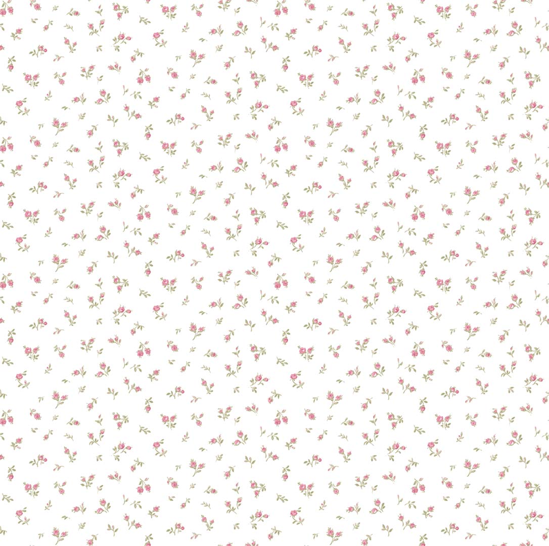 Clio - 8371 wallpaper Parato
