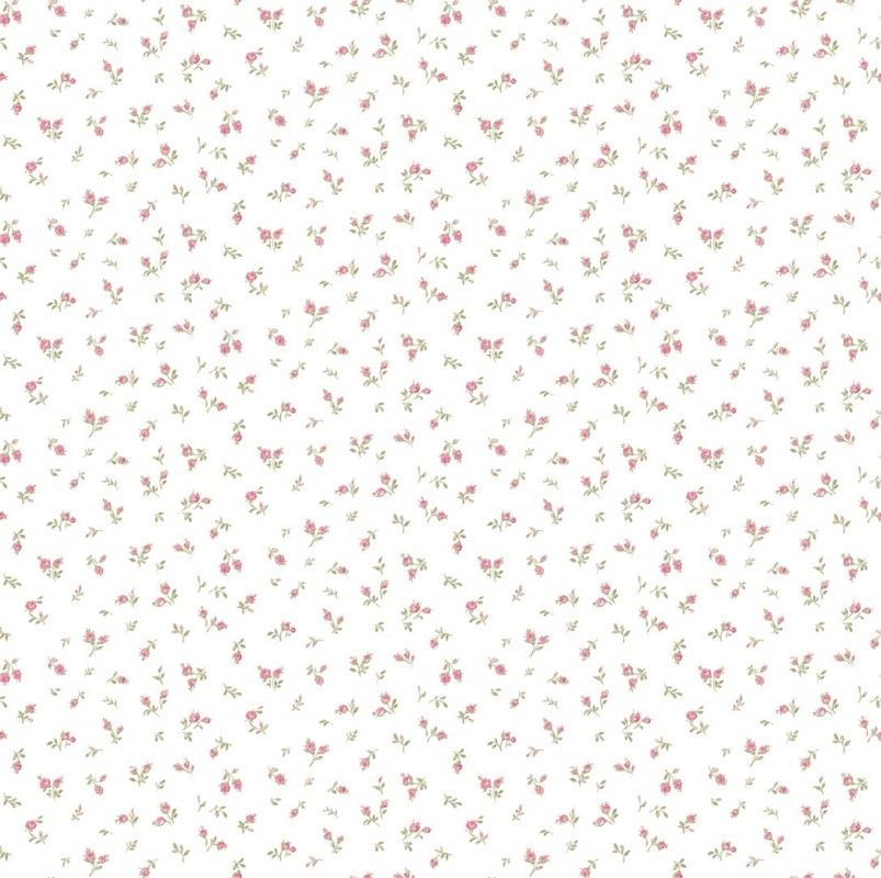 Clio - 8371 wallpaper Parato