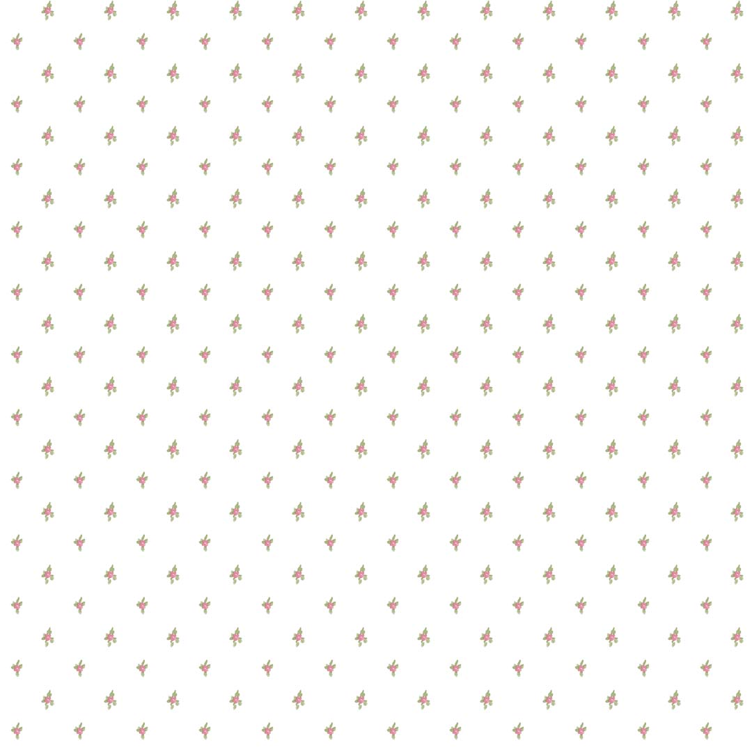 Primula - 8368 wallpaper Parato
