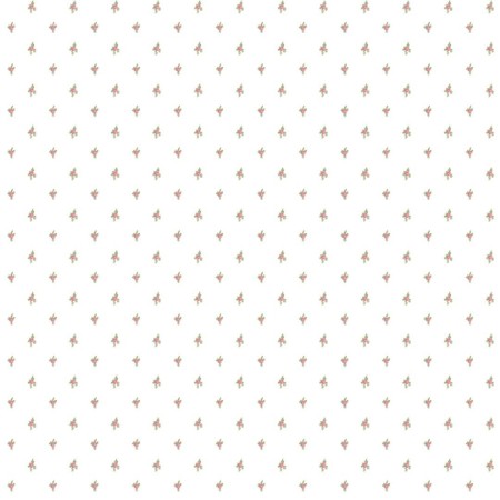 Primula - 8368 wallpaper Parato