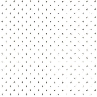 Primula - 8369 wallpaper Parato